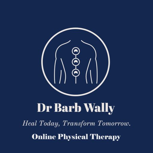 Telehealth Physical Therapy