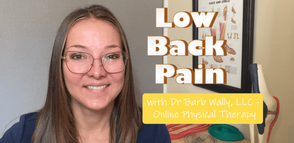 Video: Low Back&nbsp;Pain