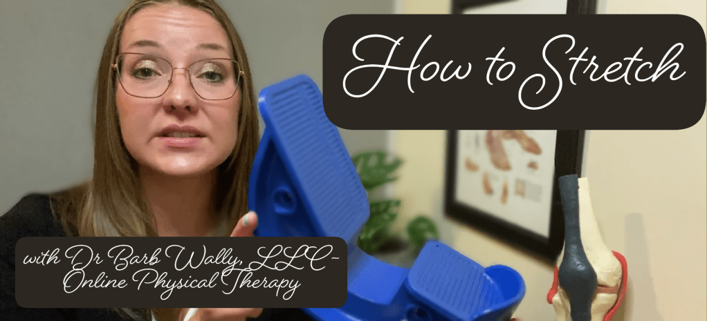Video: How to&nbsp;Stretch